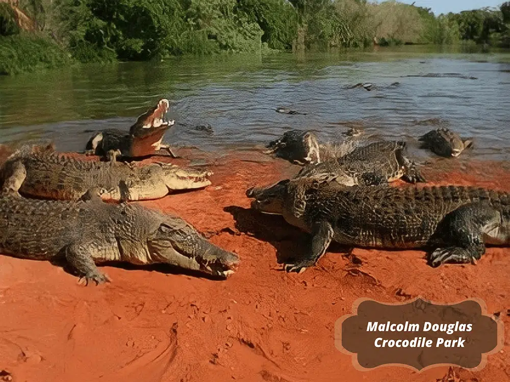 Package Tours in Broome