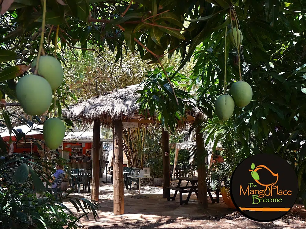 Package Tours in Broome